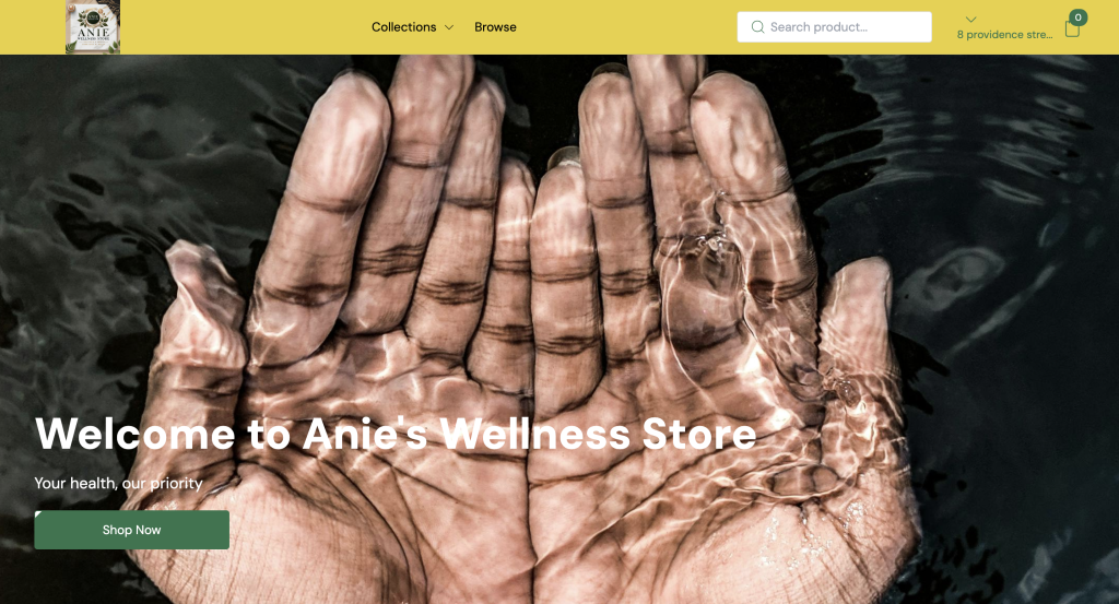 Nigerian Pharmacy Storefront